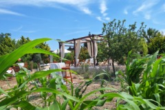 Bozcaada Karina Vineyard House Butik Otel